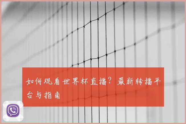 如何观看世界杯直播？最新转播平台与指南